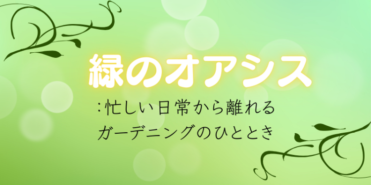 ていねいなくらし